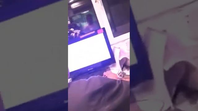 Собака Роза в «Командоре» #4 смотреть онлайн