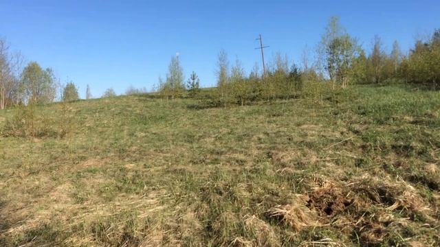 Приятный коп советов на уже известном выбитом поле смотреть онлайн
