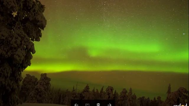 Anafod - Biz Bize Bizimle - Fisun ARABACI