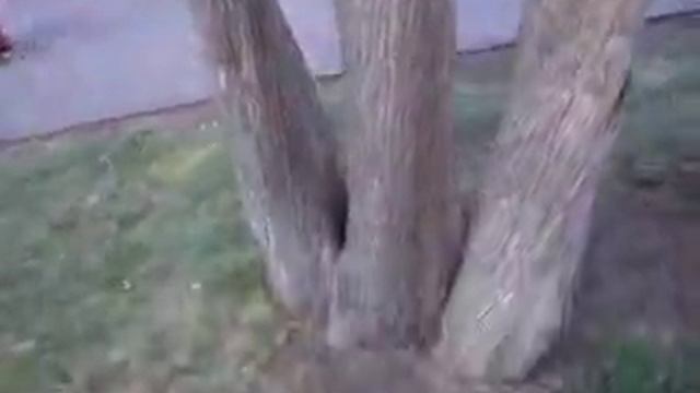 в парке Гагарина.Челябинск.Художники. смотреть онлайн