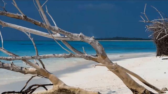 Как исправить ошибку 0xc0000142 в Windows 11 смотреть онлайн