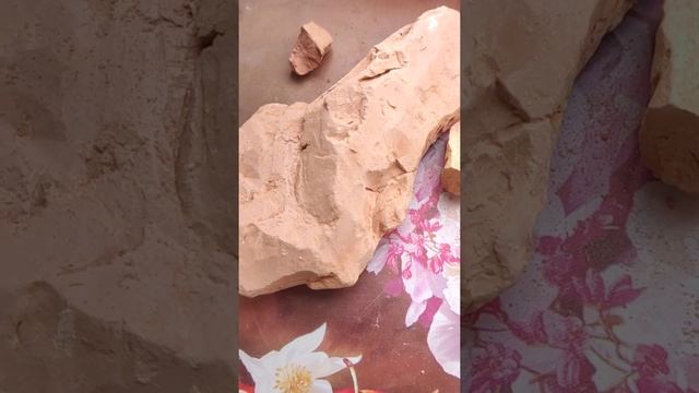 Глина Красный подсолнух/Clay Red Sunflower смотреть онлайн