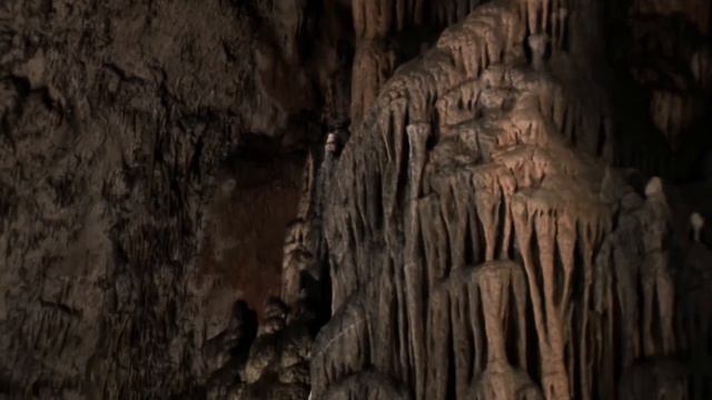 Чудеса природы смотреть онлайн