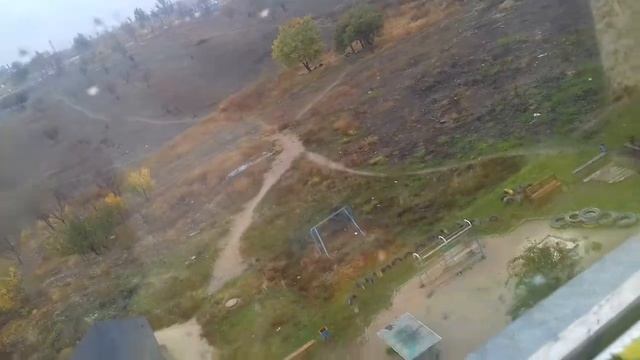 Классный гамак для кошек смотреть онлайн