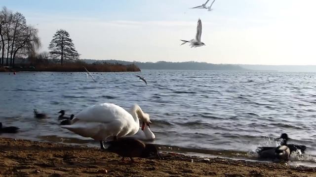 27 октября Прасковий день. Параскева Грязнуха. Народные запреты, приметы, традиции и обряды. смотреть онлайн