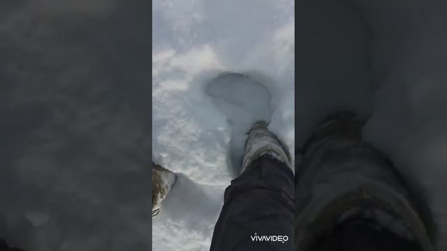 Зимняя прогулка в буран и метель. Winter walk in the blizzard and windy weather - part 2 смотреть онлайн