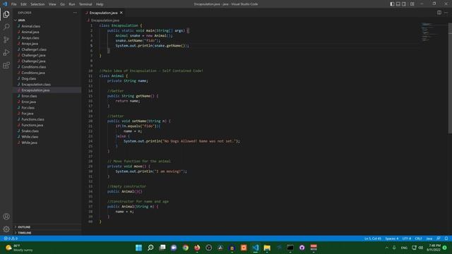 Beginner Java - Learn Encapsulation in Under 20 Minutes! смотреть онлайн