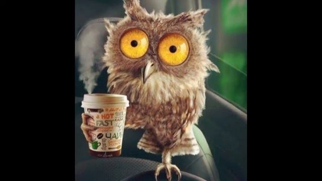 ♥ ♥ ♥Прикольные ЖИВОТНЫЕ ♣ ♣ ♣