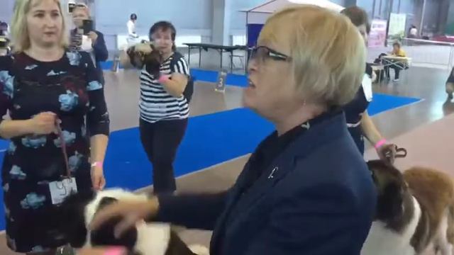 сравнение на лк 1 смотреть онлайн