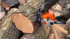 Бензопила STIHL - MS 170 в роботі !!