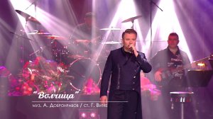 Александр Добронравов - Одинокая волчица | Юбилейный концерт, Вегас Сити Холл (Live)