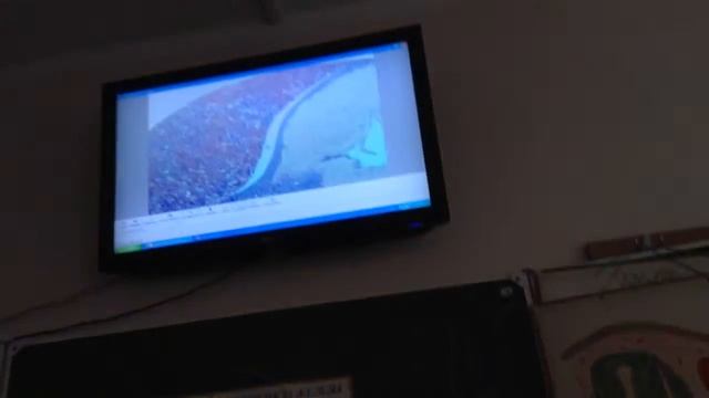 Гистология. Гипофиз кошки смотреть онлайн