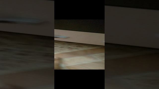 VID_20240823_092228.mp4