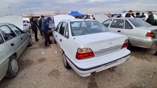 Denov Moshin Bozori Kobalt Nexia Jentra Damaz Spark Matiz Tiko Labo Narxlari 28.01.2024