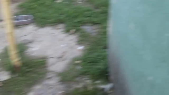 НАГЛЫЙ ПЕТУХ смотреть онлайн