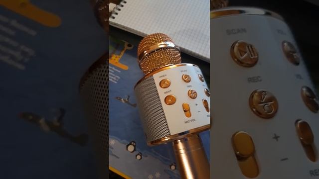 обзор МИКРОФОН HOCO BK3 COOL SOUND KTV (ЗОЛОТИСТЫЙ) из сулпак смотреть онлайн