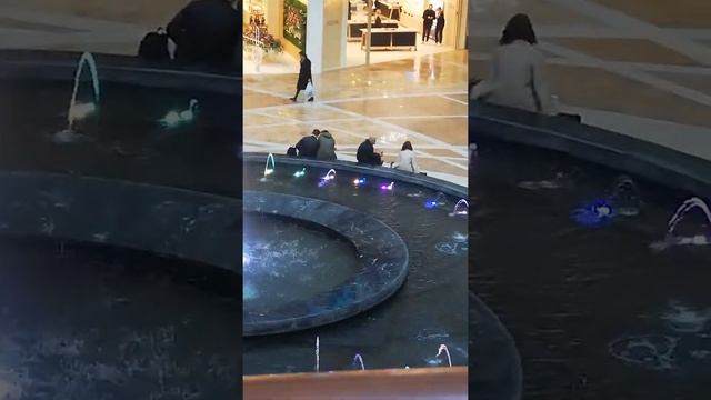 ТРЦ Афимолл сити смотреть онлайн