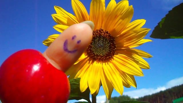 Поздравляю САША