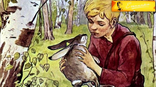 Читаем под зонтиком смотреть онлайн