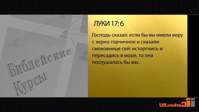 15. Развитие в вере. #1 смотреть онлайн