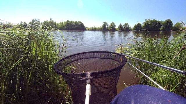 Карась после нереста. смотреть онлайн