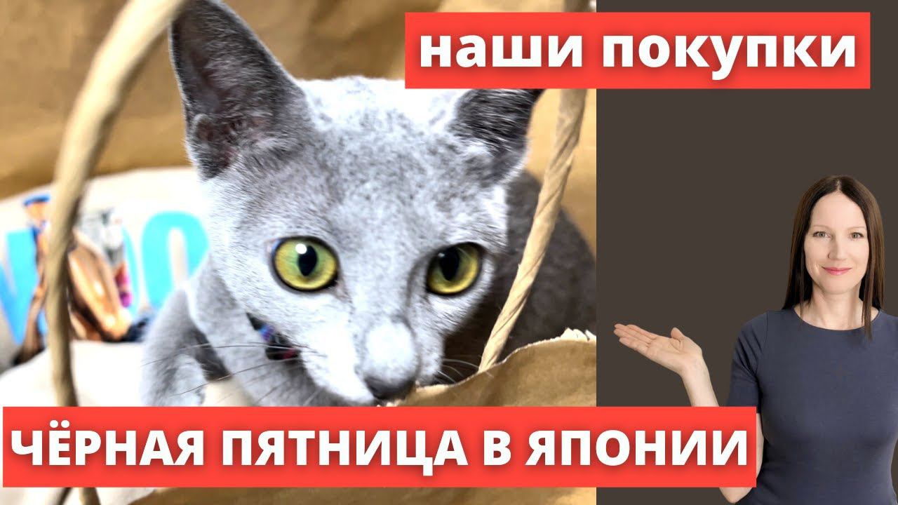 Юникло, Mujirushi, GAP - наши покупки на черную пятницу в Японии. смотреть онлайн