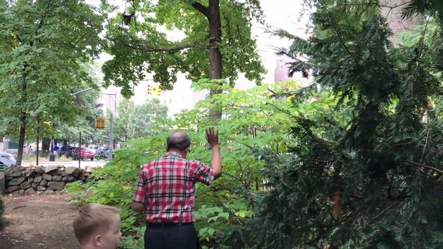 John Bowne House Tour 2017 - Part 6 смотреть онлайн