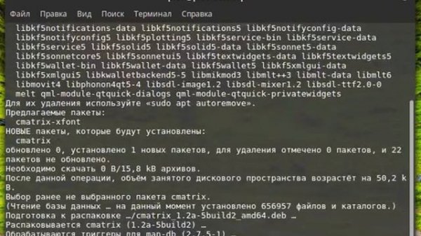 Устанавливаем и запускаем cmatrix в Linux