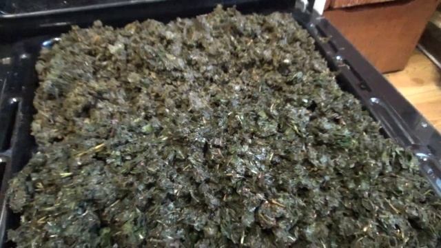 Моно чай из листьев малины, черной смородины, клена, черноплодной рябины и вишни / Leaf tea смотреть онлайн