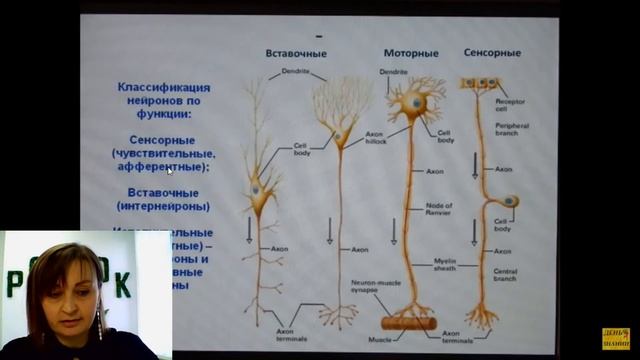Трансляция| Объединение "Прогрессивная медицина"| Волшебный нейрон смотреть онлайн