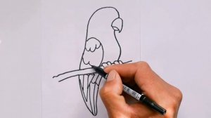 Как нарисовать Попугая, How to draw a Funny Parrot, просто рисуем, Урок рисования для детей.??