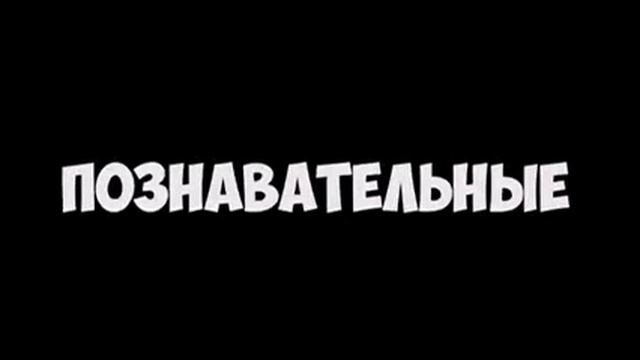 ЖЕСТЬ!!! КАК ОН ЭТО СДЕЛАЛ?!!!! смотреть онлайн