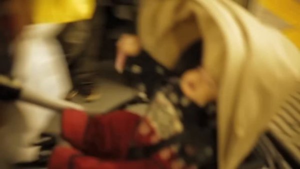 bee in the city tokyo