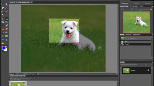 Photoshop Elements - Ritaglio (Crop) смотреть онлайн