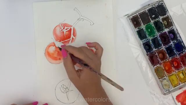 How To Paint Watercolor Tomatoes | Watercolor Illustration Tutorial Рисуем томаты акварелью