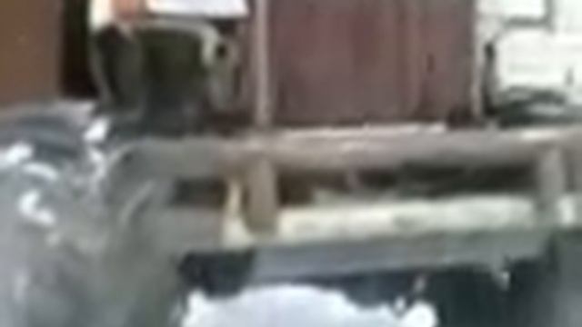 франкинштэйн смотреть онлайн