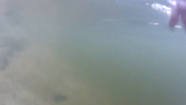 Раколов смотреть онлайн