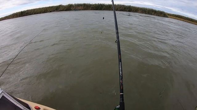 Клёв сома на зелёного червя - один за одним. Рыбалка, Астрахань 2019. смотреть онлайн