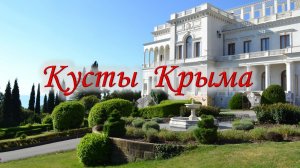 🌿 2.Кусты Крыма — знакомимся, изучаем.