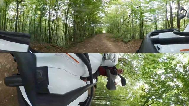 Linhai смотреть онлайн