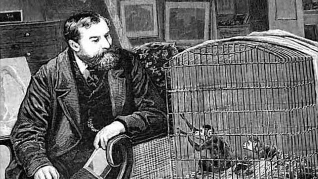 ПОЧЕМУ ОВСЯНКА СТАЛА ПОПУЛЯРНА ВО ВСЁМ МИРЕ смотреть онлайн