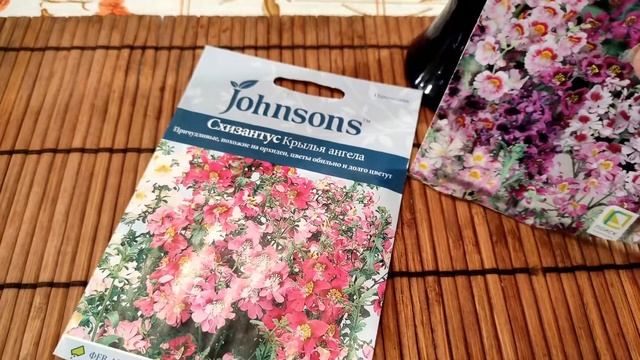 Схизантус - без неожиданностей и с учетом прошлогоднего опыта. смотреть онлайн