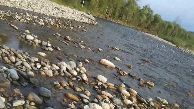 ХАРИУС РЫБАЛКА 🐟 смотреть онлайн