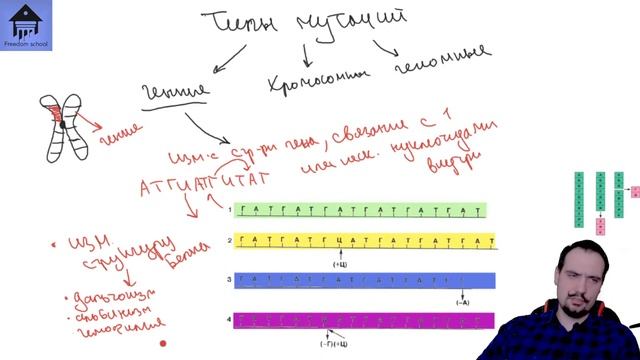Изменчивость - Мутации, Комбинации, Модификации для ЕГЭ |ЕГЭ БИОЛОГИЯ|Freedom| смотреть онлайн