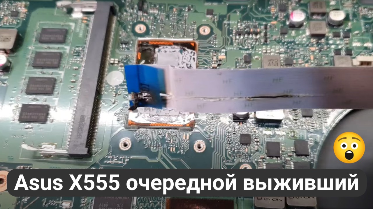 Asus X555 очередной выживший смотреть онлайн