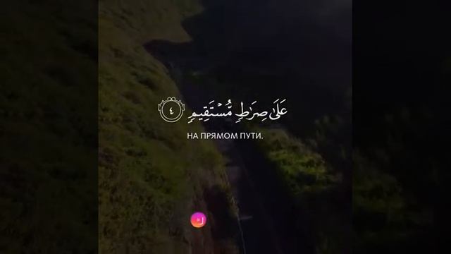 Сура Йа Син Аяты 1-6 Чтец Zaid Shanti смотреть онлайн