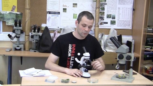 Увеличение объектов смотреть онлайн