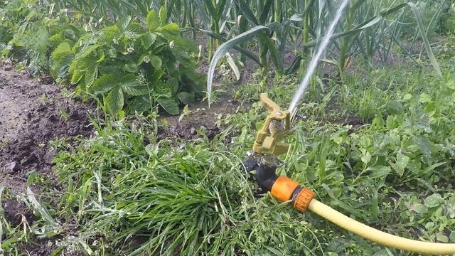 Импульсный дождеватель GRINDA 8-427650