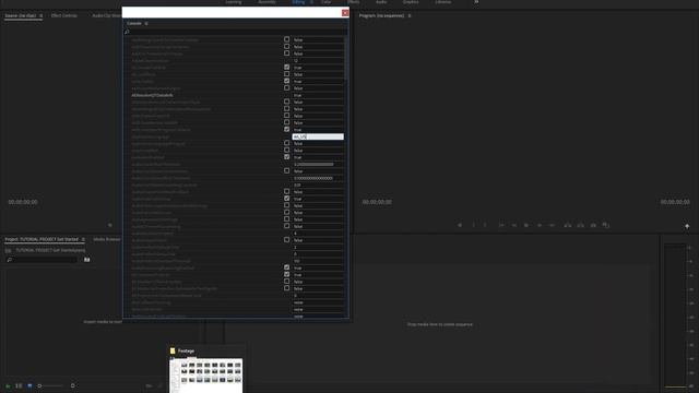 Смена языка интерфейса. Курс "Энциклопедия Premiere" 01 смотреть онлайн