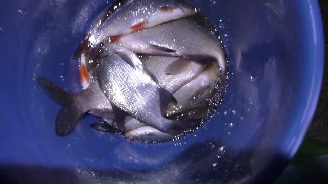 ВДВОЁМ НА МОЛОГУ... Май 2019 г . смотреть онлайн